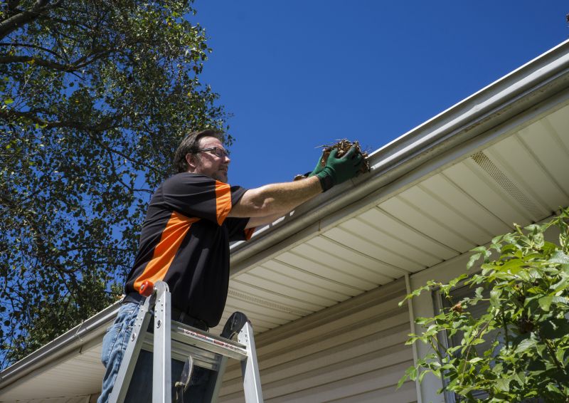 Eavestrough Cleaning