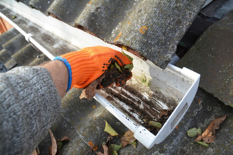 Gutter Clog Removal in Longmont, CO