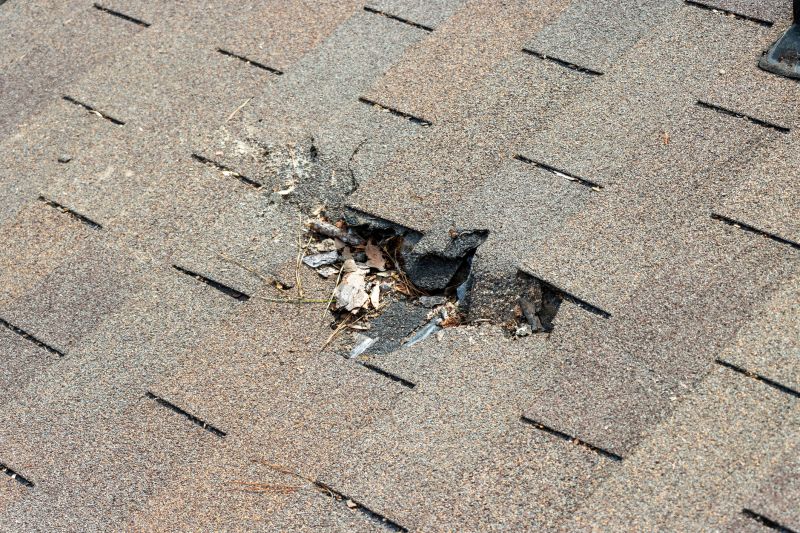 Shingle Roof Replacement in Providence, RI